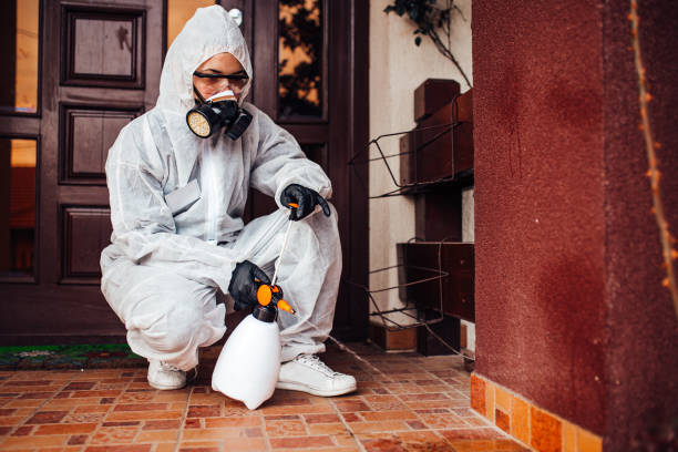 Reliable Wasp Removal contractor in Glens Falls North, NY by Show Me Pest Control